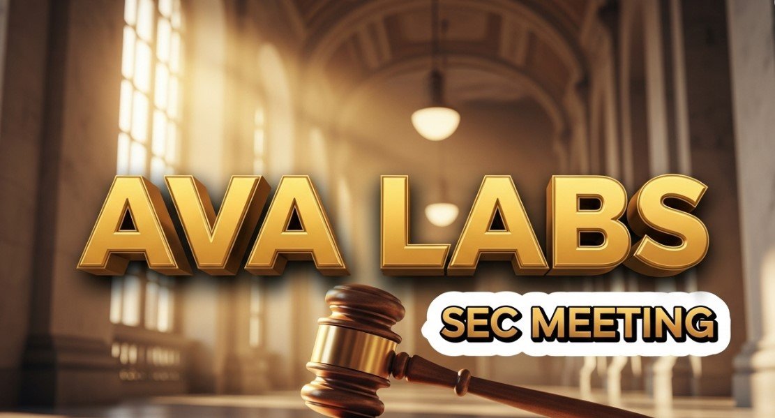 avalanche blockchain regulatory meeting concept art