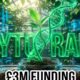 Manchester Spinout Cytotrait Secures £3M to Build Future Super Crops