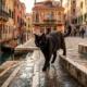 Pixar Gatto teaser trailer Venice feline noir aesthetic