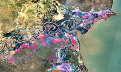 Google Custom Satellite Embeddings AlphaEarth planet monitoring preview
