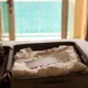 Mother boarding alone after daughter forgot her passport