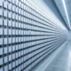 Oak AI identity security startup raises $60 million seed round