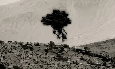Curiosity rover Mars jellyfish cosmic ray Navcam artifact photo