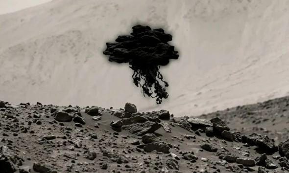 Curiosity rover Mars jellyfish cosmic ray Navcam artifact photo