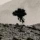 Curiosity rover Mars jellyfish cosmic ray Navcam artifact photo