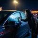 Jeff Dye Tesla vandalized fog Douche Laura Kightlinger Sentry