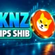 TKNZ ETF opens without Shiba Inu SHIB